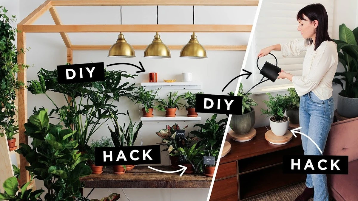 Brčko v květináči – trik, který si vzaly do služby květinářky po celém světě - image 2