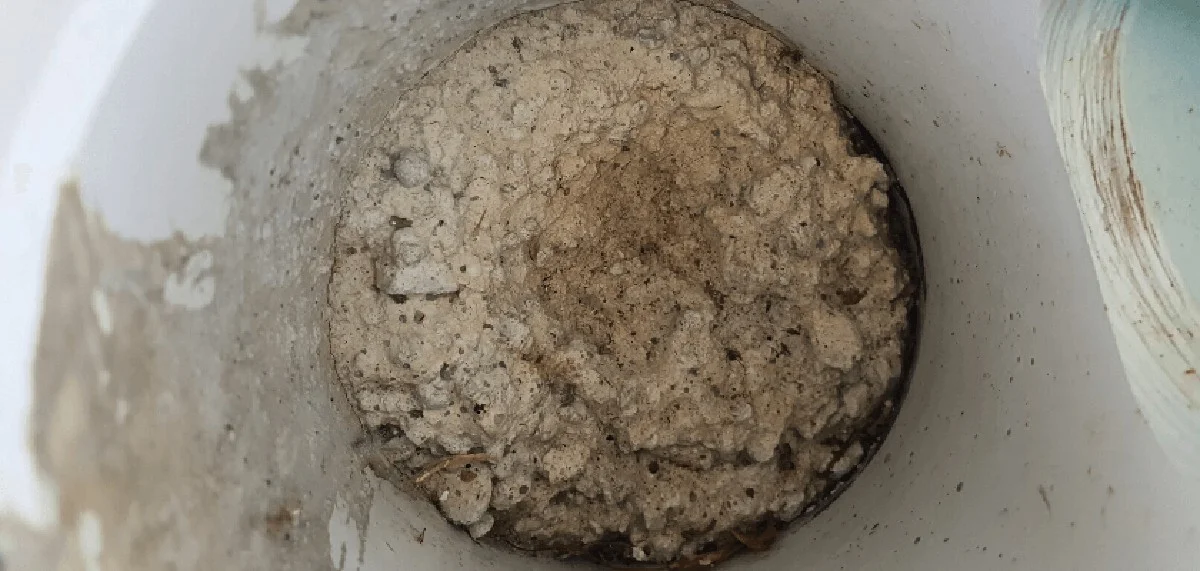 Instalatéři vás prosí: nikdy nesypejte do kanalizace tento prášek