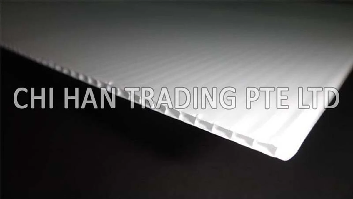 Starý sprchový záves jako ochrana zateplení? Funguje lépe než myslíte - image 1