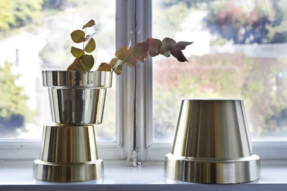 Hřebík do květináče změní vaši zahradu: Proč právě železo pomáhá - image 2