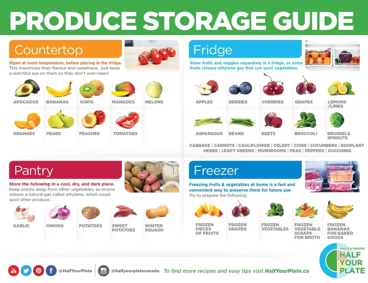 Papírová utěrka v ledničce: jednoduchý trik, který prodlouží čerstvost o týdny - image 2