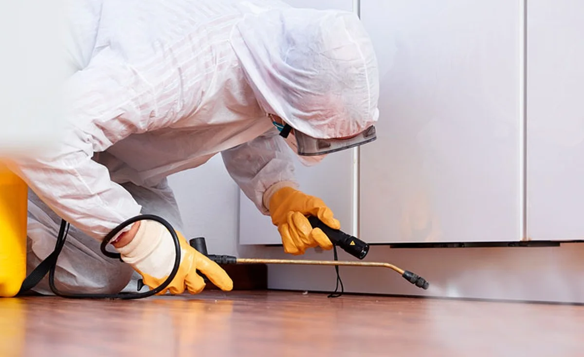 Vložte bobkový list do mouky: 100letá trik proti molům a švábům - image 1