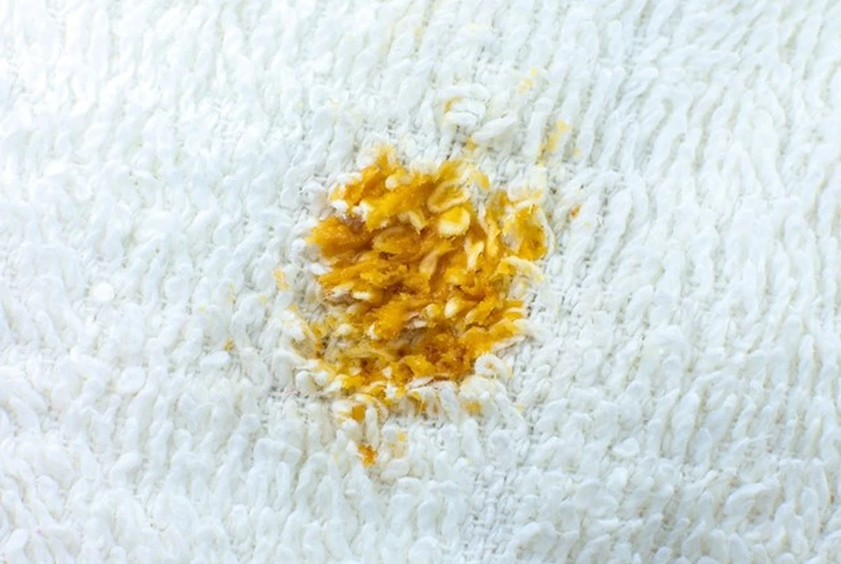 Horčičný prášek na skvrny na kobercích: triky, které znají jen profesionální čističi