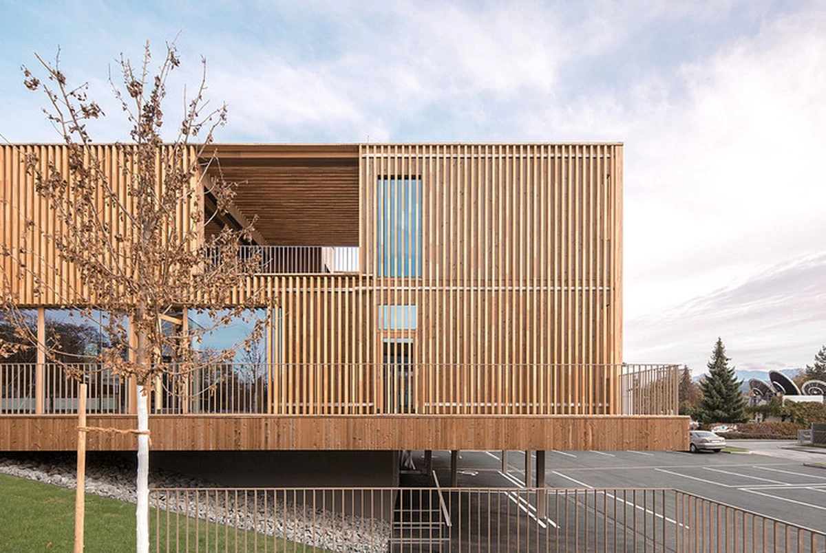 Tesaři prozrazují: která dřeva neutěsníte vzdušností a ušetříte roky