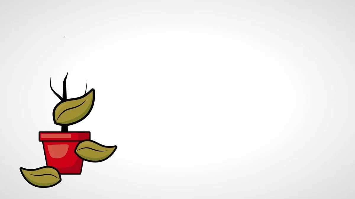 Vaše květiny umírají? Tři chyby, které děláte bez vědomí