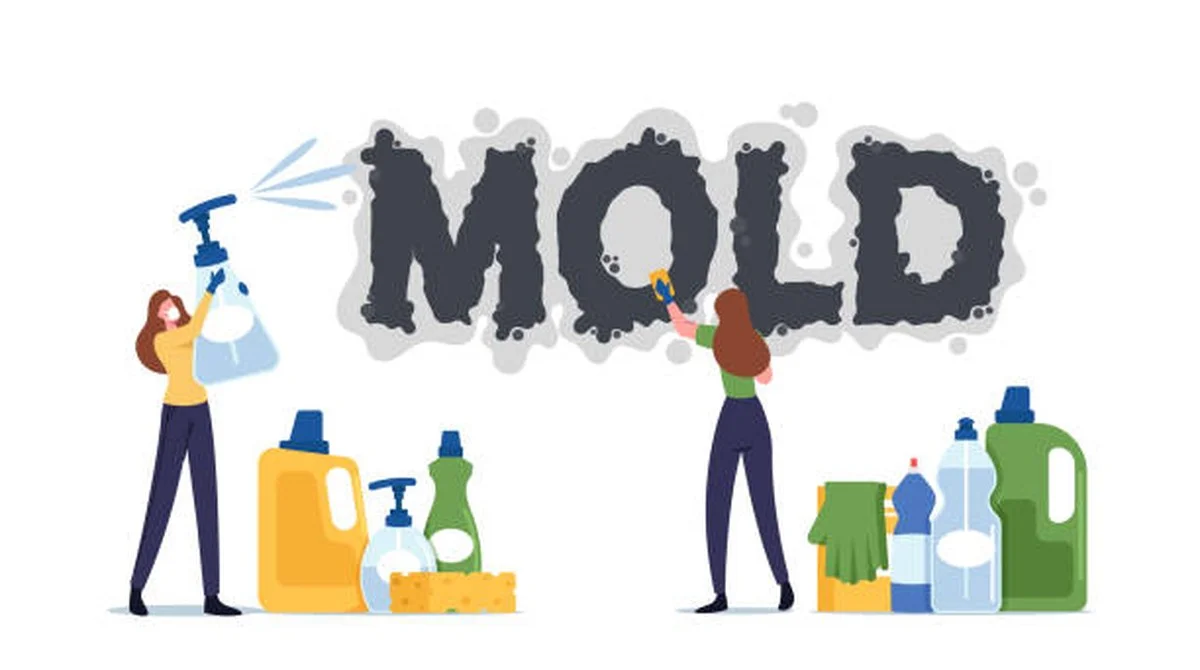 Kávový filter na okenní rámy: co se stane po jednom týdnu - image 2