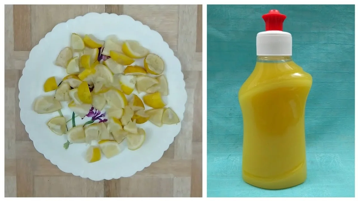 Citronová kůra v myčce nádobí: levnější než drahé tablety