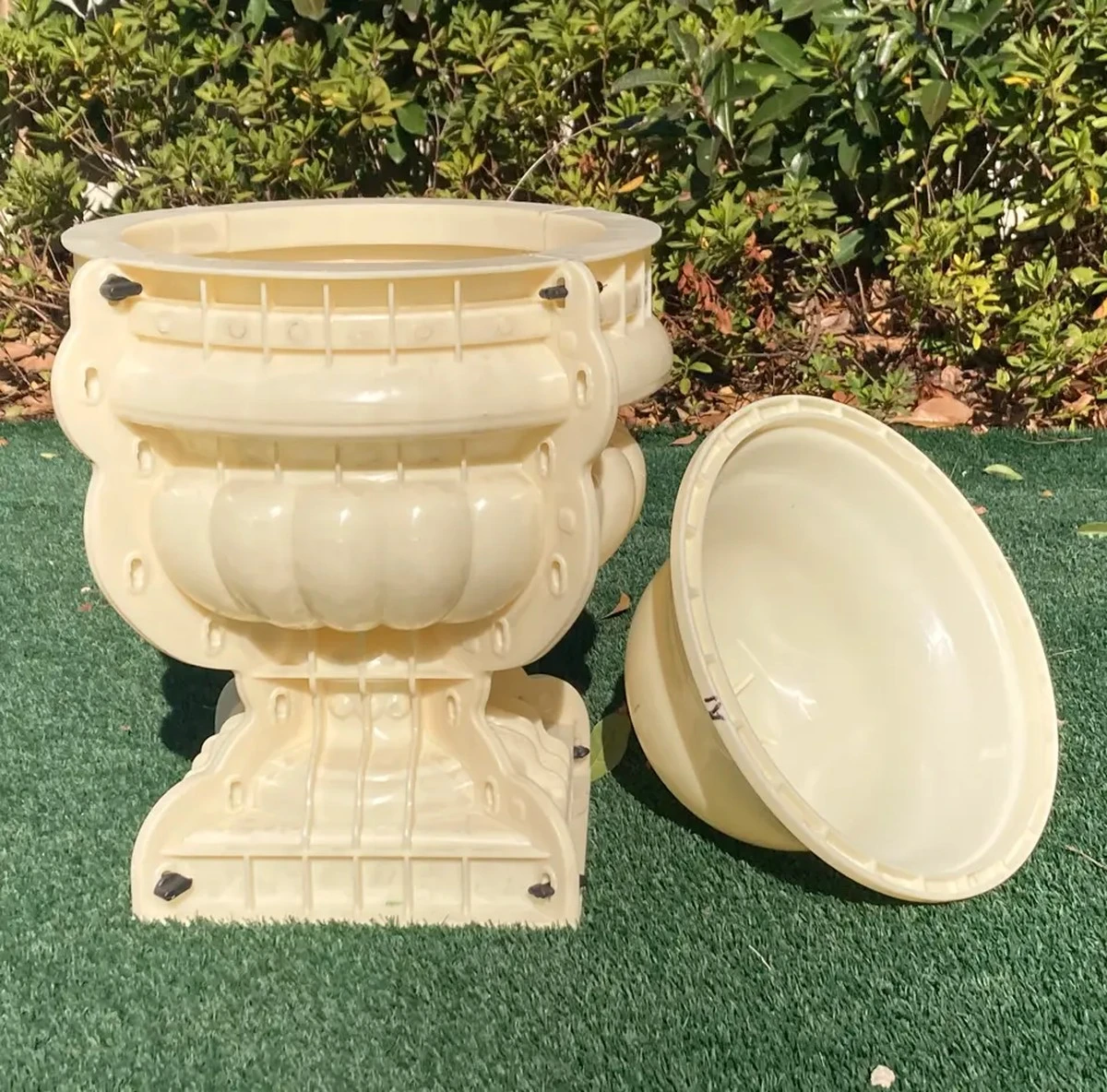 Hřebíky do květináče zabraňují plísni – vědecky ověřeno - image 1