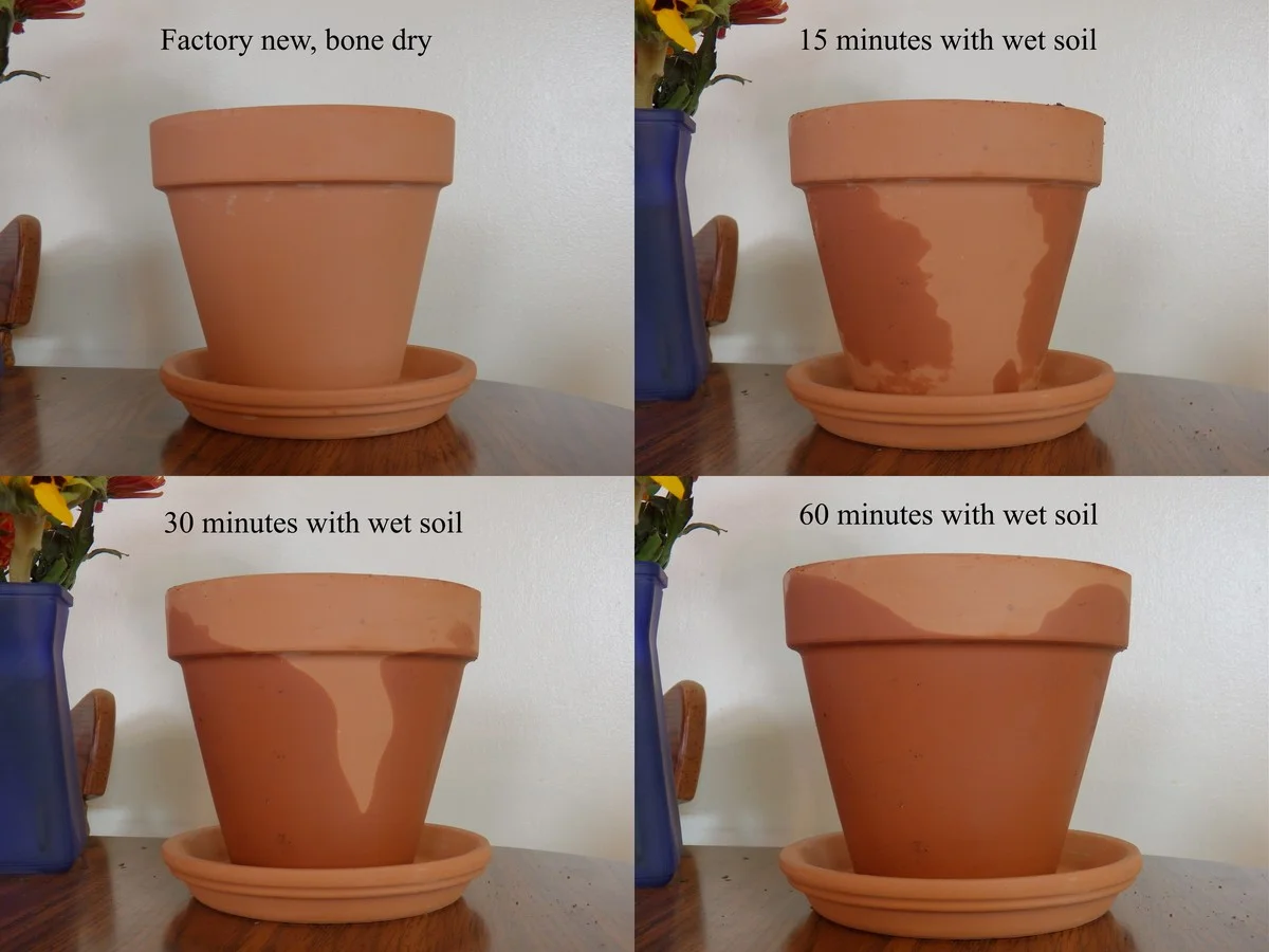 Prázdné květináče v kuchyni? Geniální řešení vlhkosti bez investic - image 2