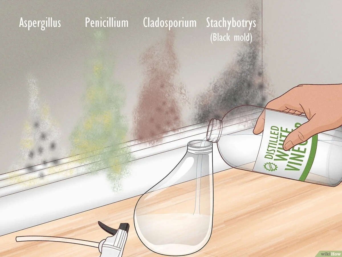 Sirka z kuchyně proti plísni v koupelně: jednoduchý chemický trik