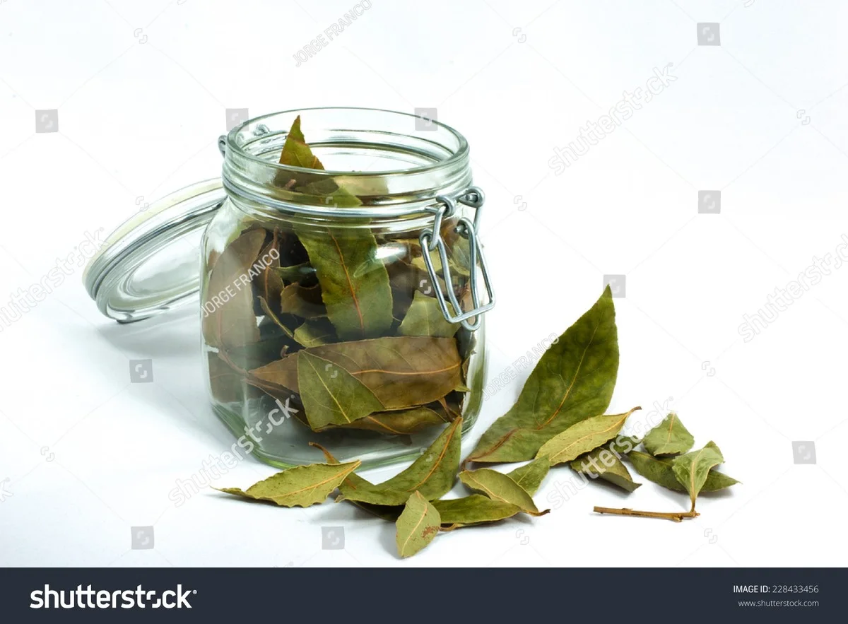 Vložte bobkový list do mouky a навеки zapomeňte na molice