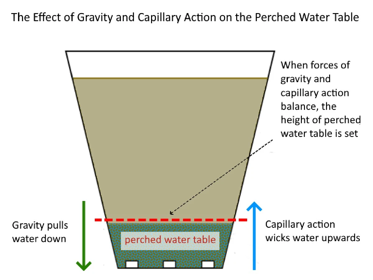 Hřebíky v květináči – geniální řešení proti stagnaci vody - image 1