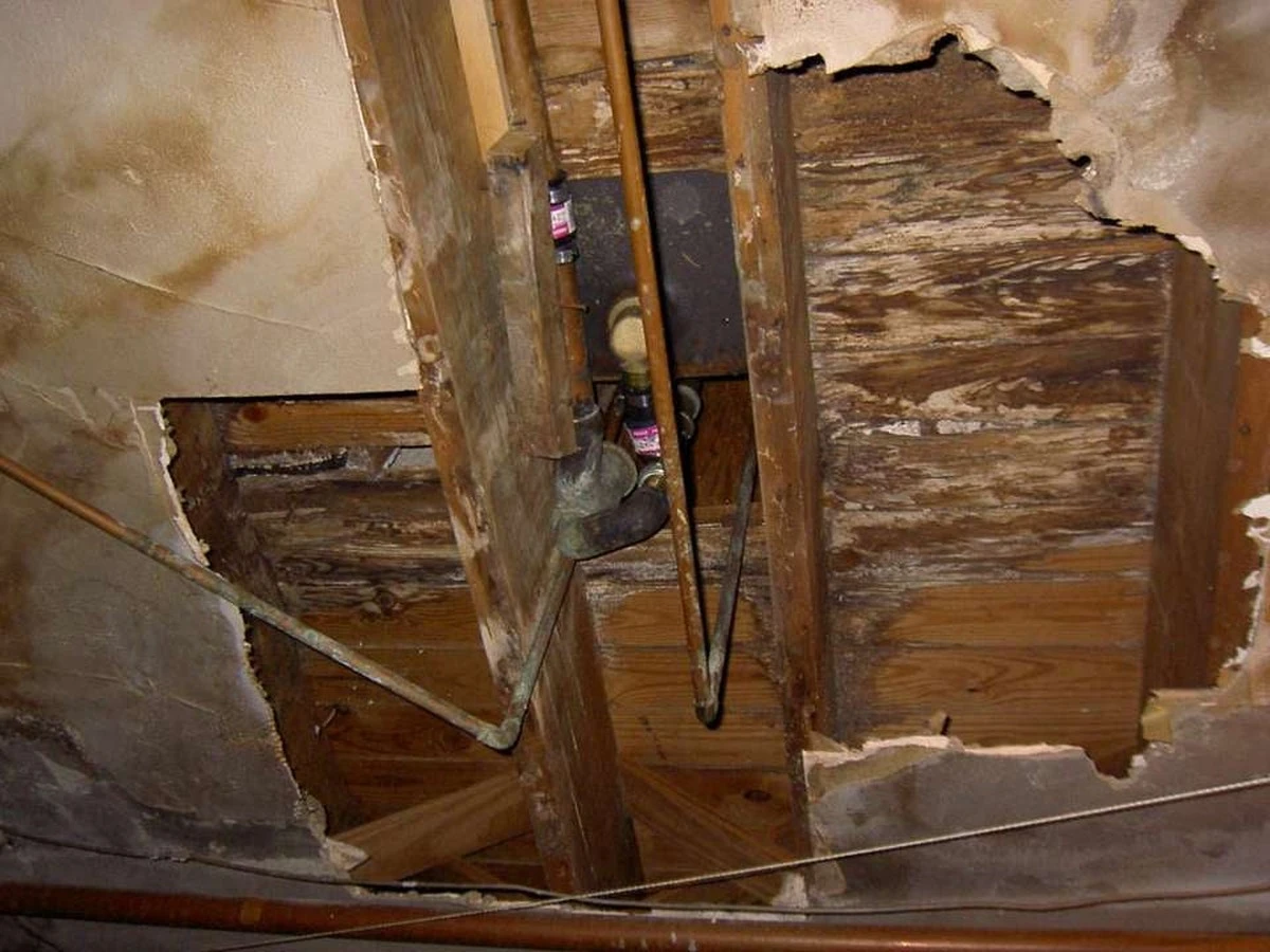 Tesaři vám nikdy neřeknou: co dělá s dřevem vlhkost v koupelně - image 2