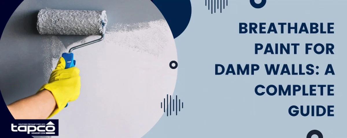 Tesaři varují: nikdy nepolíbejte tuto barvu na staré zdech - image 1