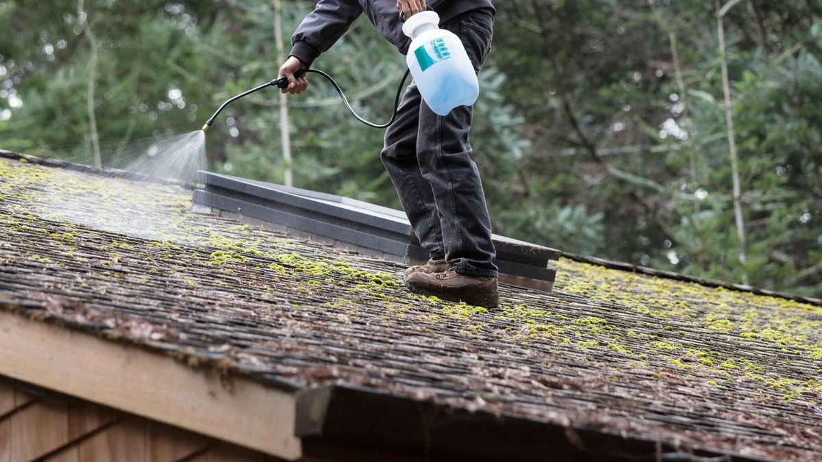 Ocet a soda na střeše: jak zbavit se mechu bez chemie