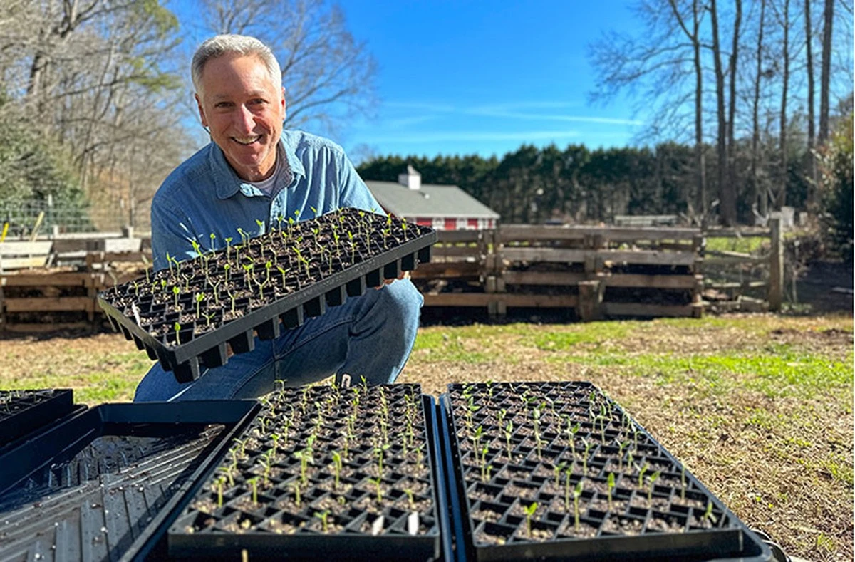 Krabice od vajec jako sázečka pro semínka? Zahradníci vám poděkují - image 1