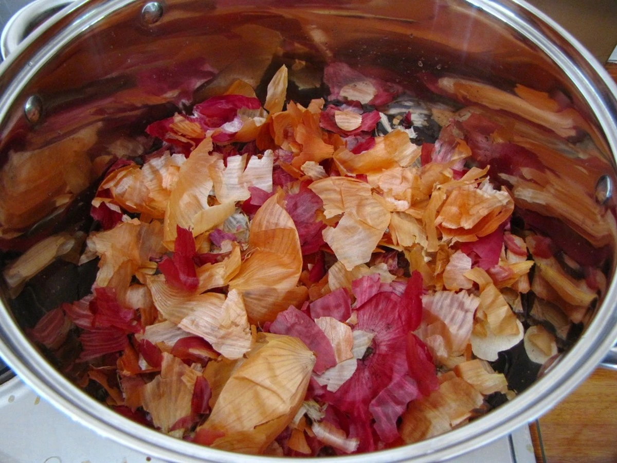 Cibulová slupka v květináči – starý trik proti molům textilu