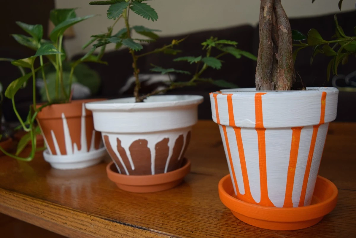 Papírový ručník pod květináč: jak ušetřit vodu a čistit podlahu najednou - image 1