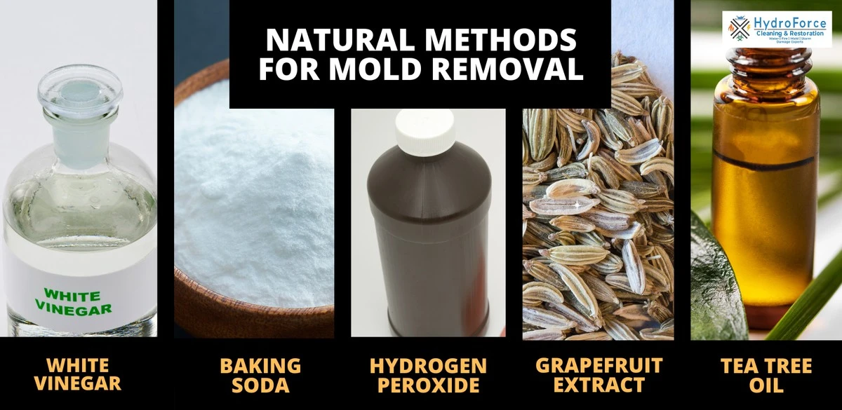 Obyčejná špejle v koupelně řeší plíseň bez chemie - image 2