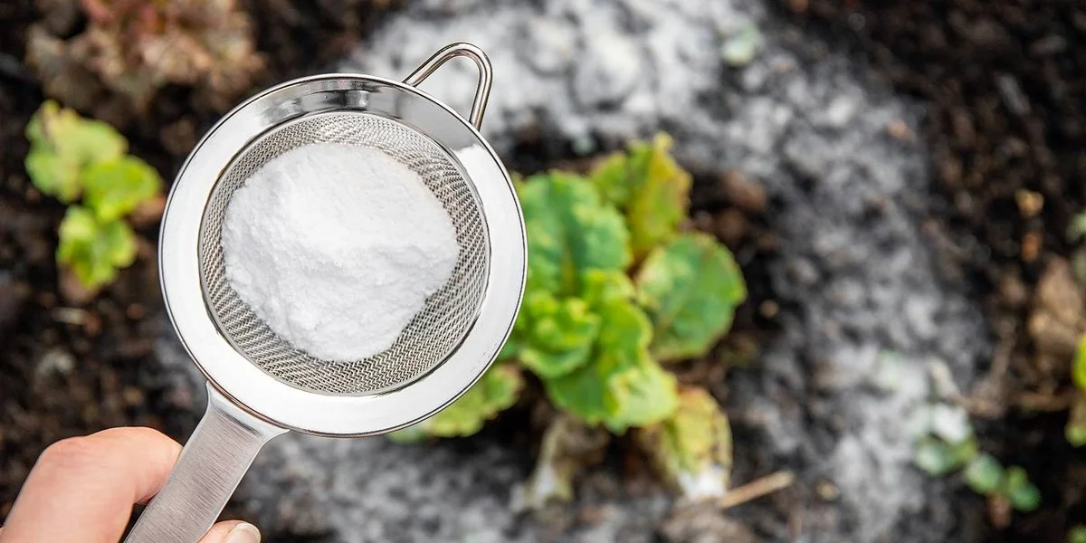 Jedlá soda na matracích: proč to dělají profesionální čističi - image 2