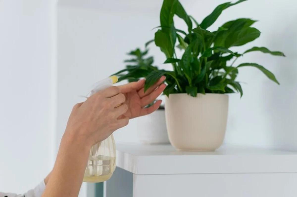 Prosincový úklid podle feng šueje: kdy je ideální čas na start