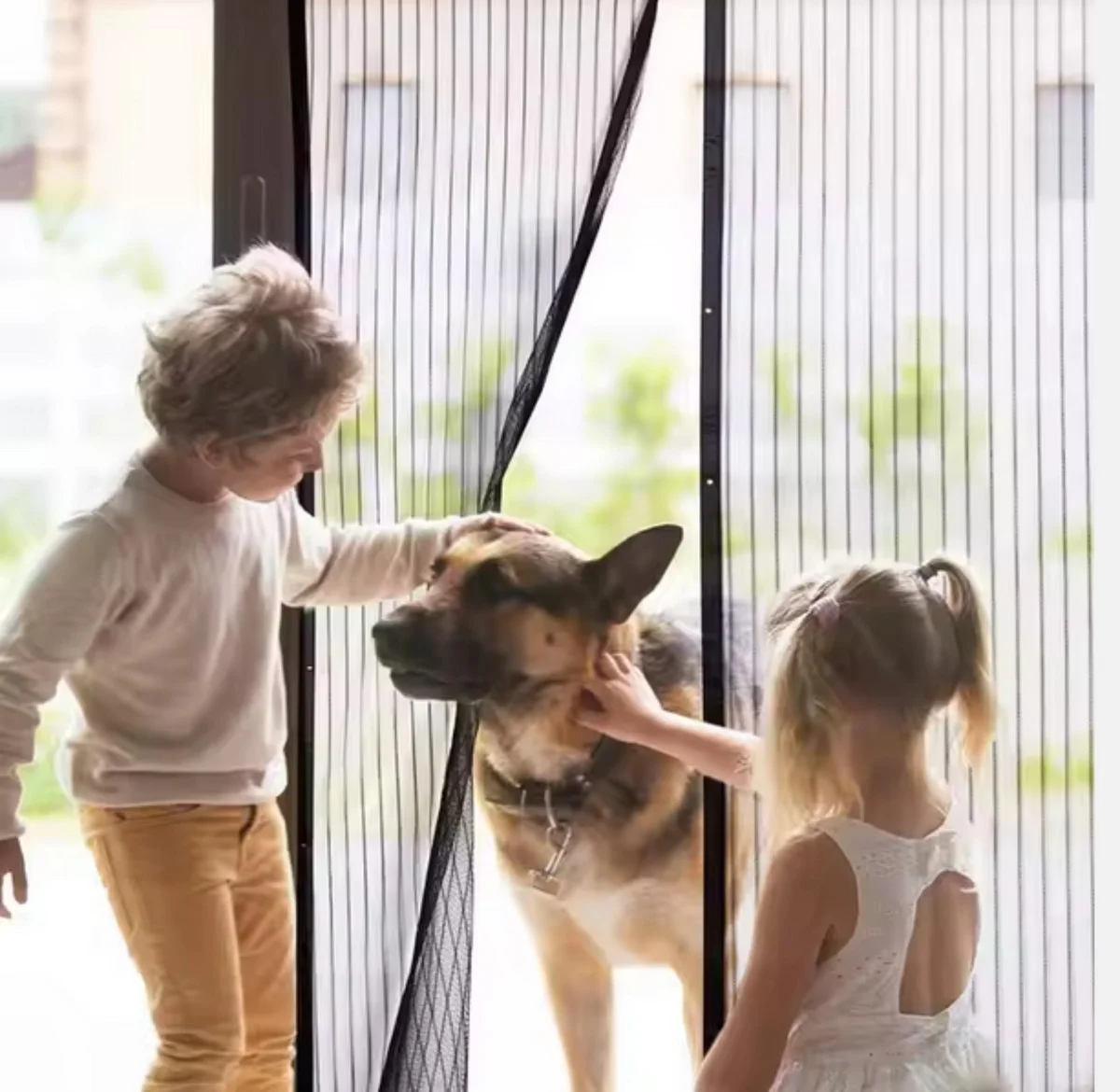 Tutu síť z nákupu? Zásadní nástroj proti hmyzu na oknech - image 1