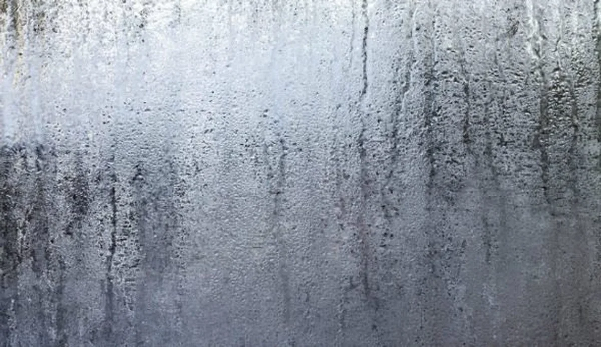 Babička si utírala zrcadlo bramborem: nikdy se už nezamlžovalo - image 2