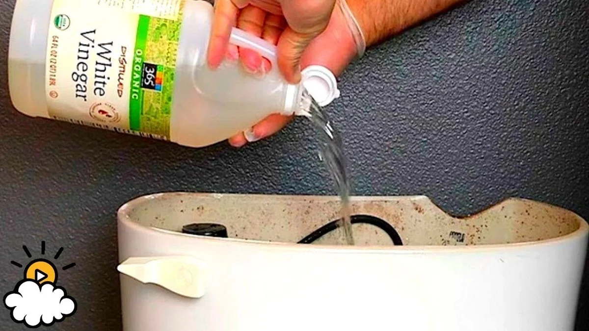 Ocet na záchodě přes noc: co se děje se všemi usazeninami