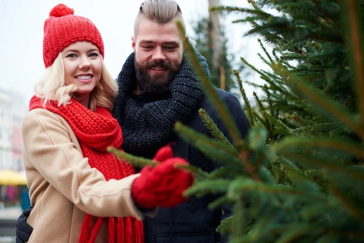 Živý stromek nebo umělý: co opravdu ušetří váš rozpočet v prosinci