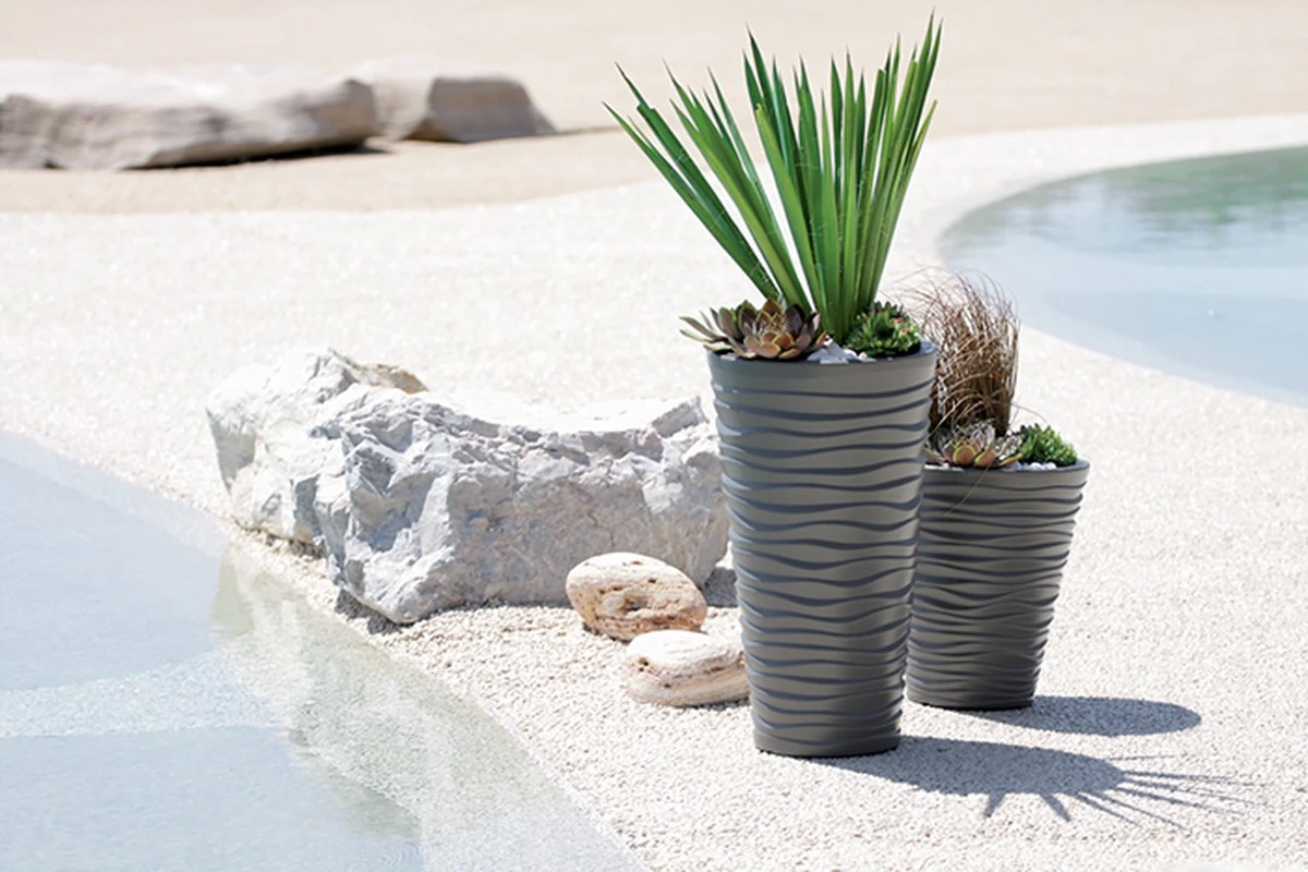 Písek do květináče na okenní parapetu? Levný trik proti hmyzu, který drží měsíce