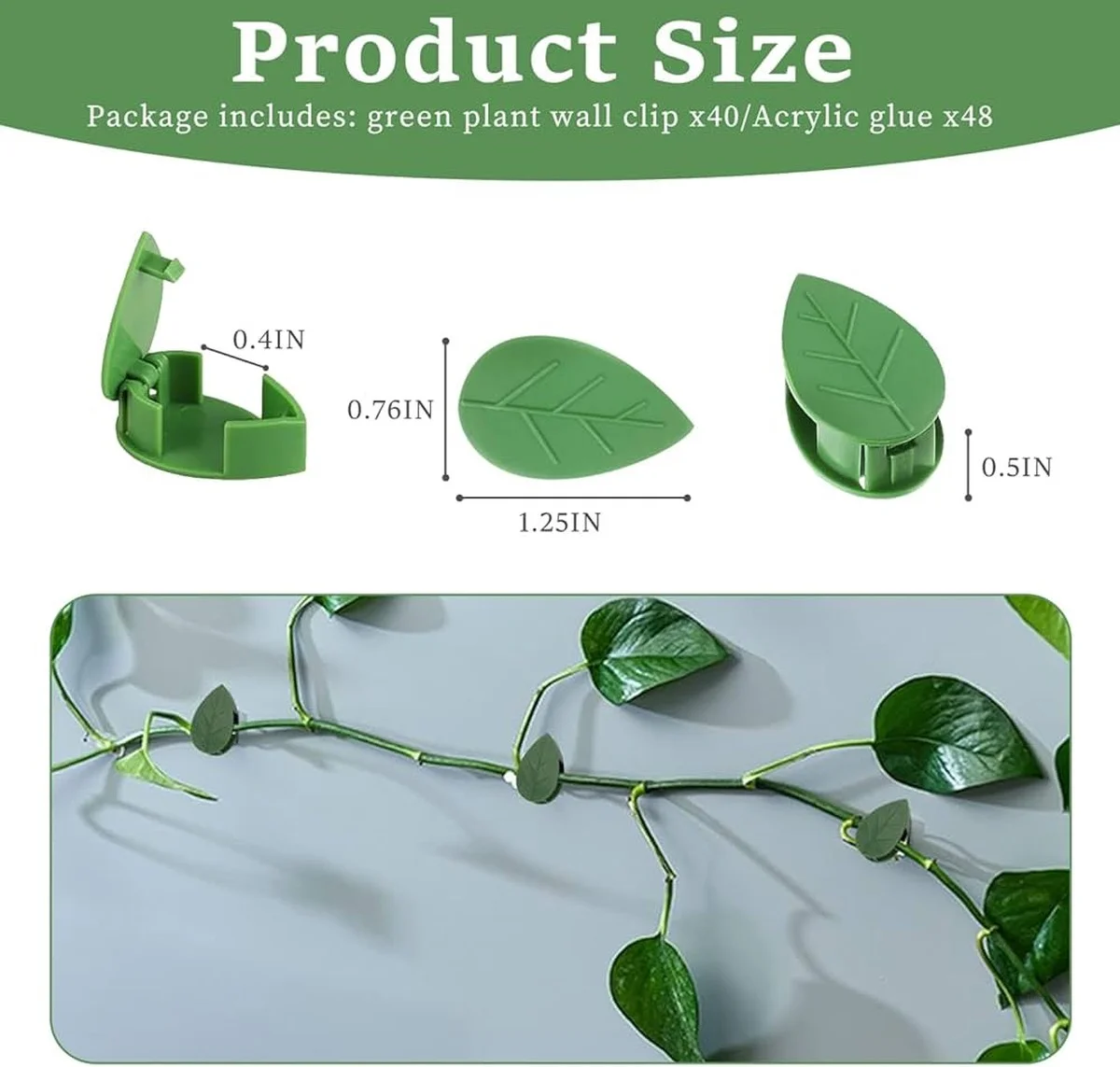 Hřebík a nit na stěně: Starý trik květinářů proti plísni