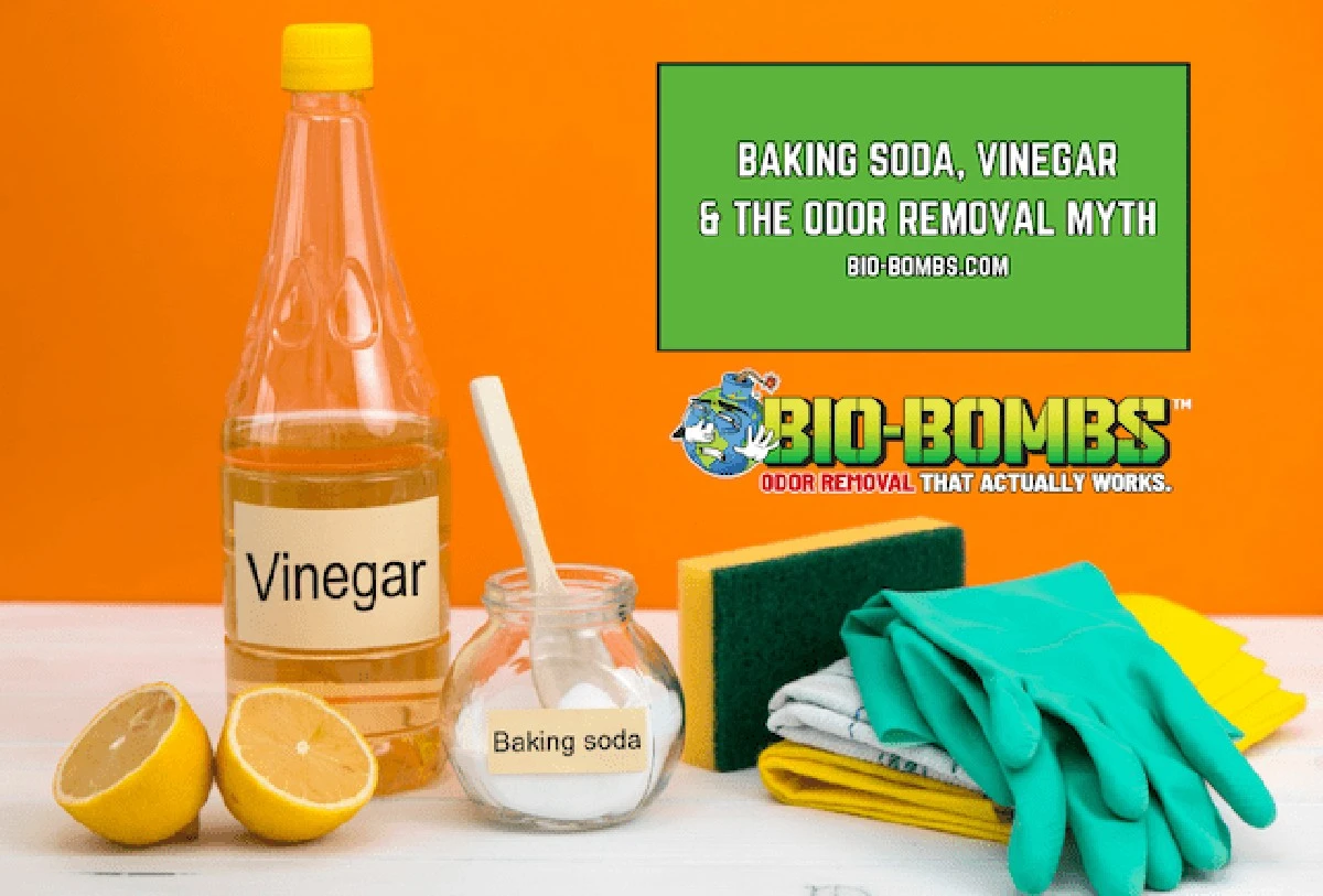 Ocet v konvici na ryby? Průmyslový trik proti zápachu, který funguje během minut