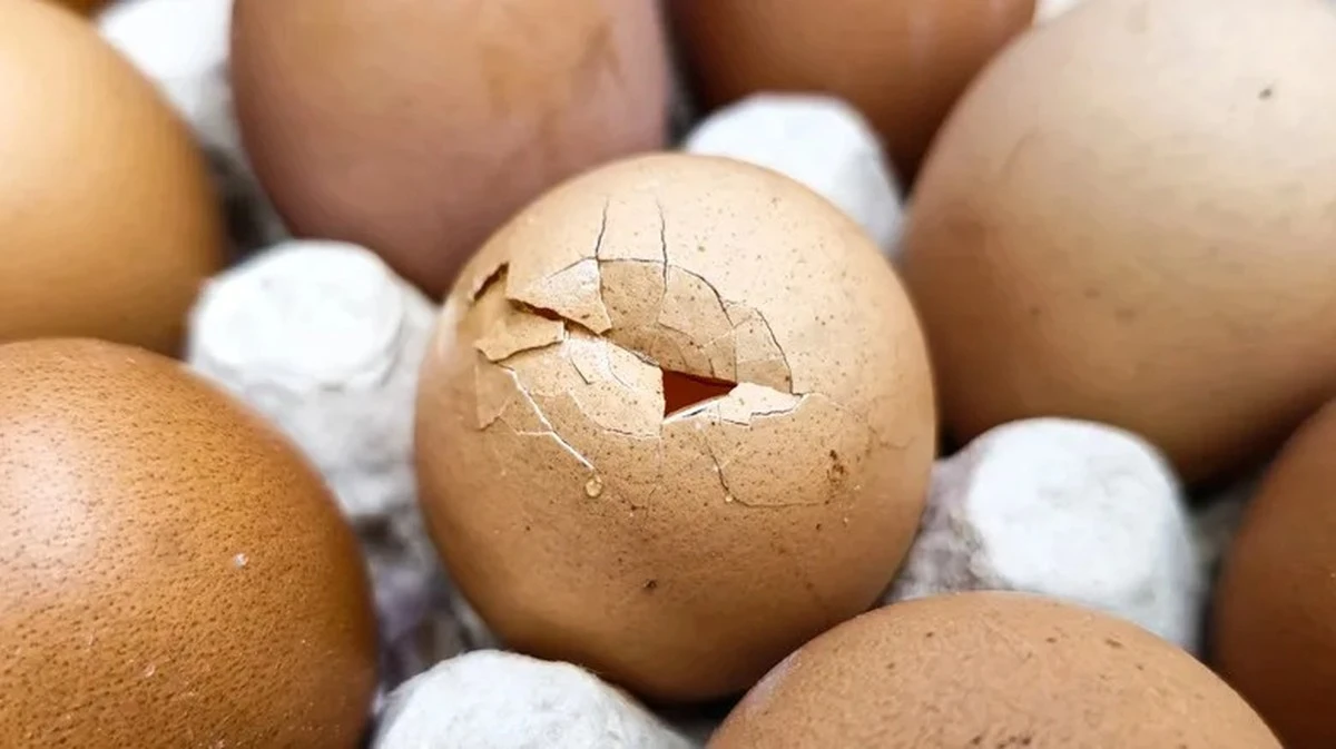 Proč kuchaři vždy přidají ocet k vařeným vajíčkům - image 2