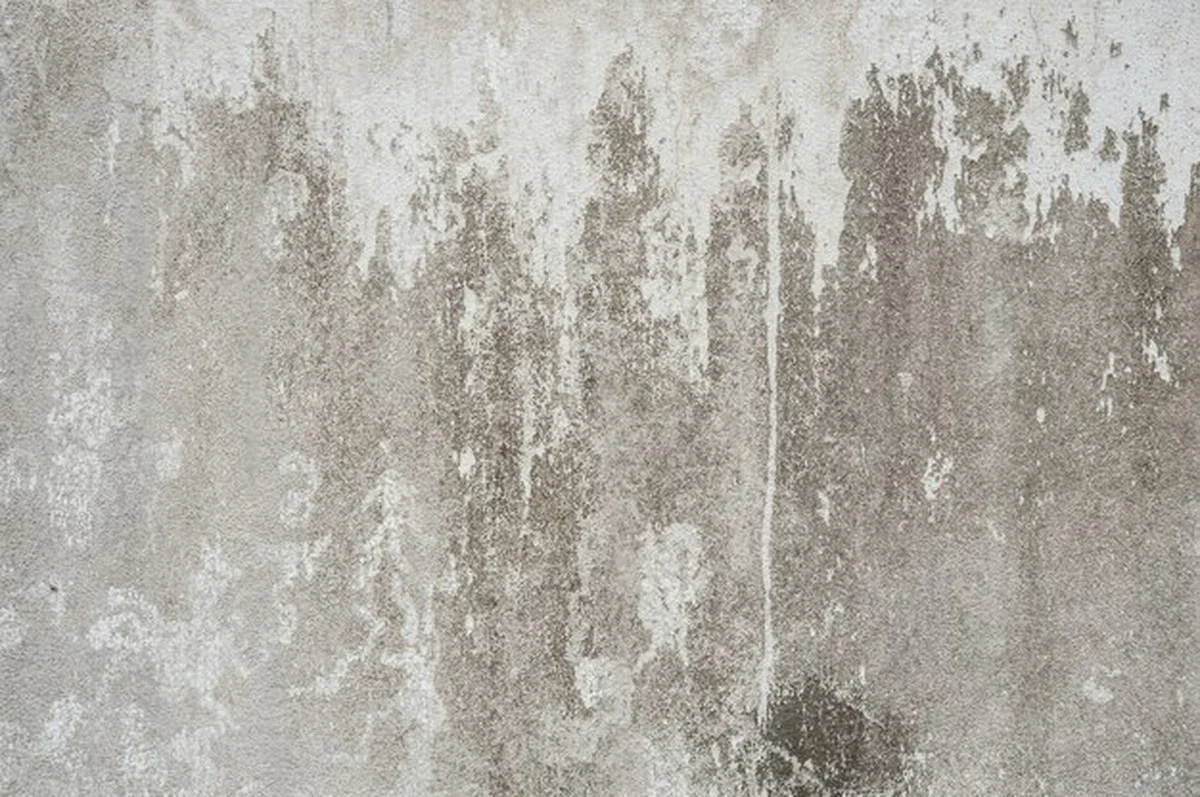 Syrová brambora na špíně na stěnách – překvapivě účinné - image 2