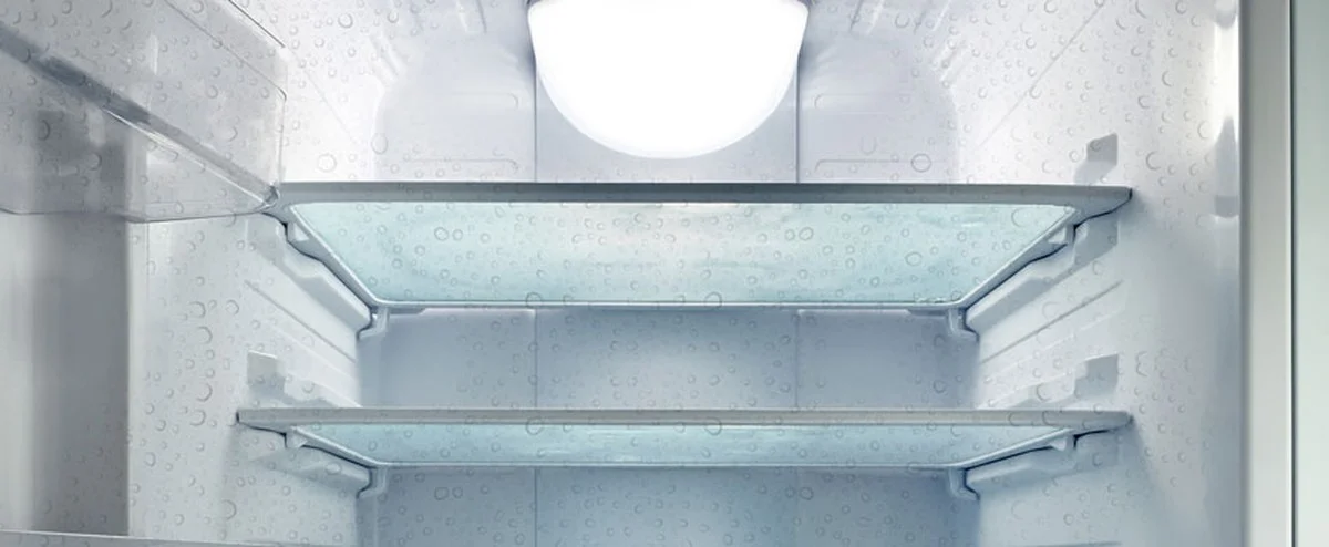 Sůl v ledničce: geniální trik na vlhkost, který funguje pět dní - image 1