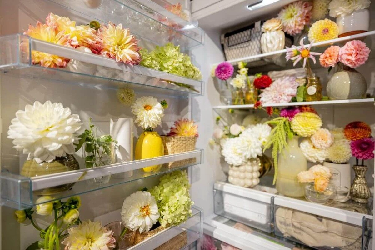 Květinářky prozradily: proč řezané růže umírají v lednickém chladě - image 2