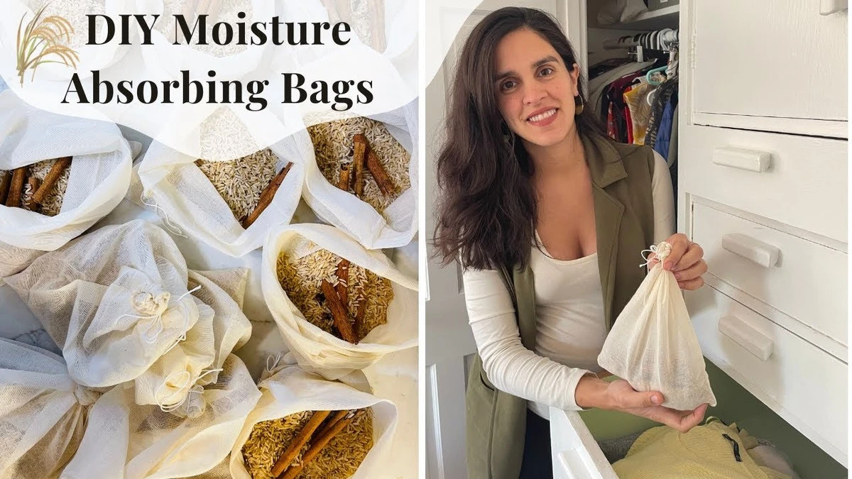 Obyčejný párátko vyřeší vlhkost v domě za týden - image 2