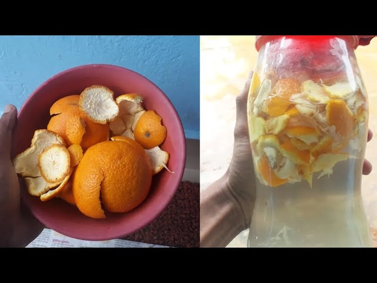 Citrónová kůra v okně: přirozená zbraň proti molům a mouchám - image 1