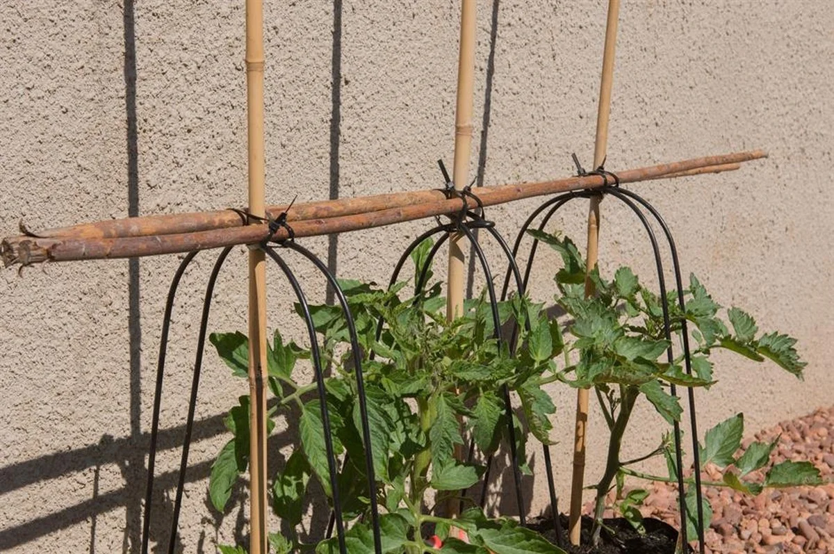 Hřebík do květináče změní vaši zahradu: Proč právě železo pomáhá - image 1