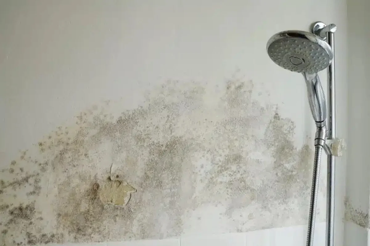 Korkový korek do baterie: geniální řešení před zatopením v koupelně - image 2