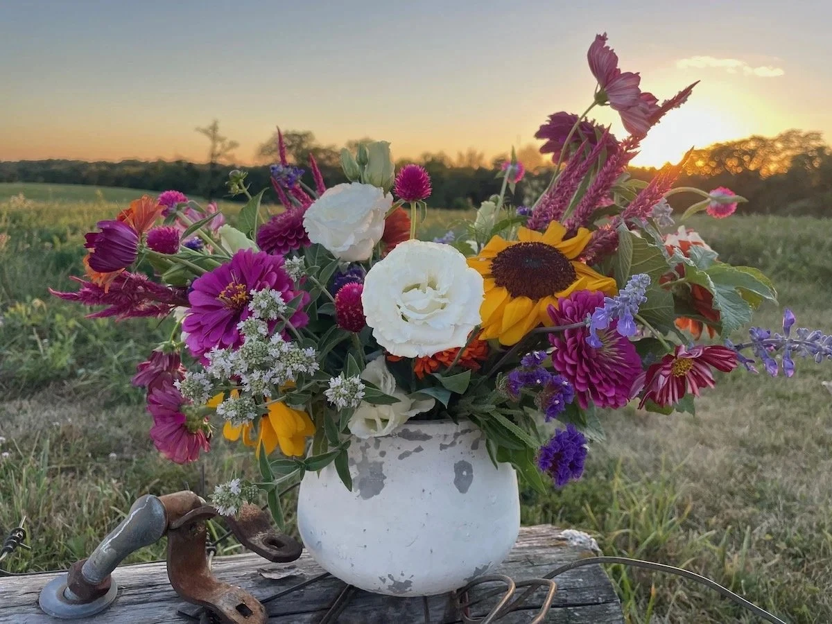 Dvě kapky octa do vody na květiny — věda, která prodloužila jejich život o měsíce - image 1