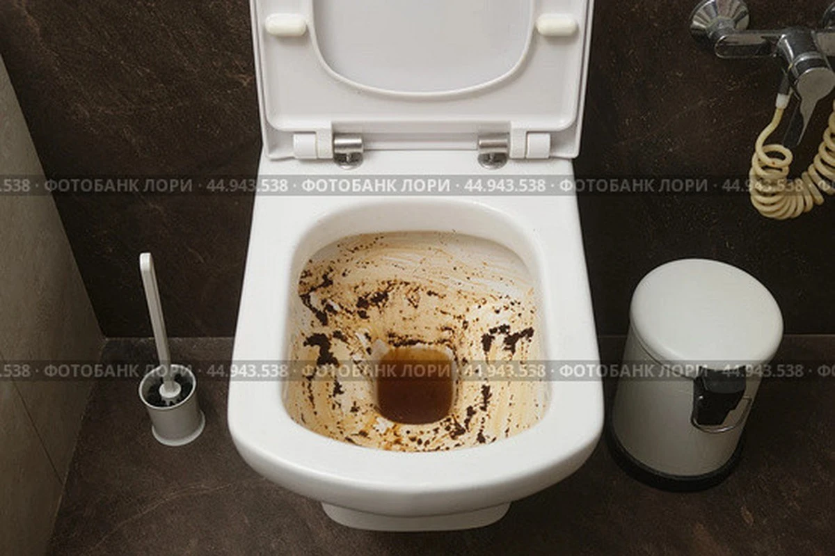 Sodovka v záchodě přes noc – to si nevezmete zpět na toalety - image 1