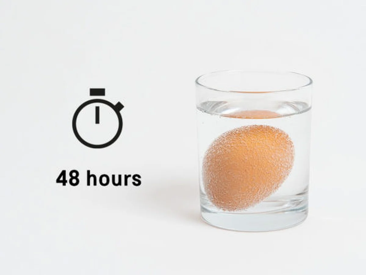 Proč kuchařky vždycky přidávají ocet do vody na vejce - image 1