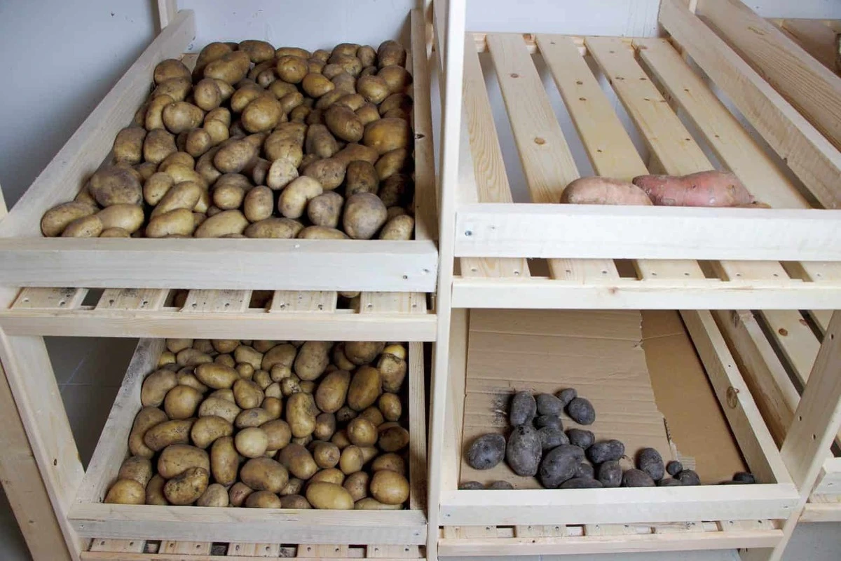 Papírový ručník v lednici prodlouží čerstvost zeleniny o týdny - image 2