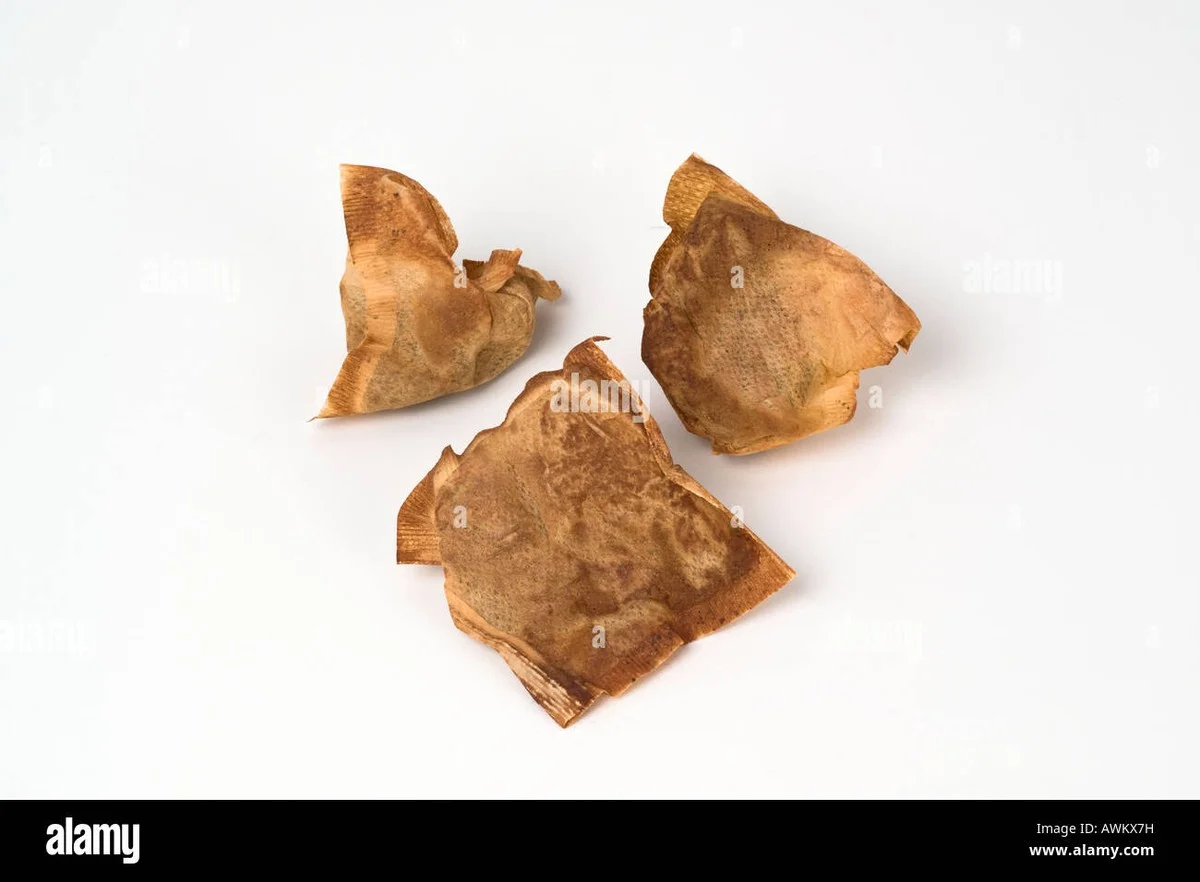 Čajový sáček v botě přes noc? Výsledek, který vás překvapí - image 2