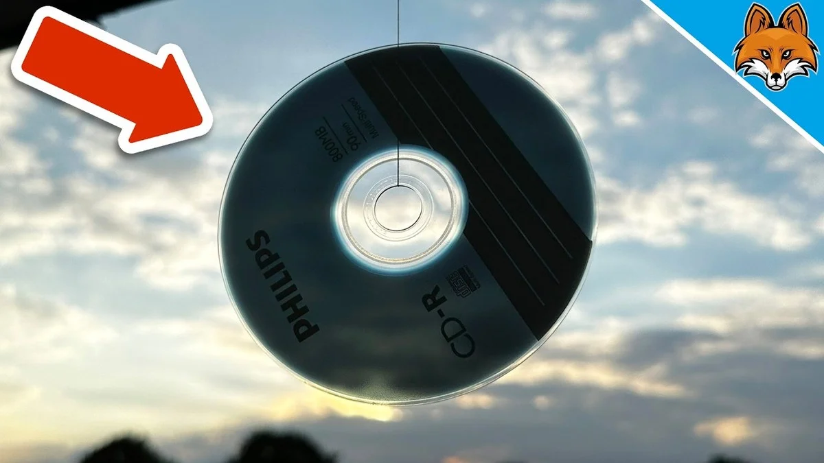 Umístěte CD za okno a vrabci nebudou loupit balkon