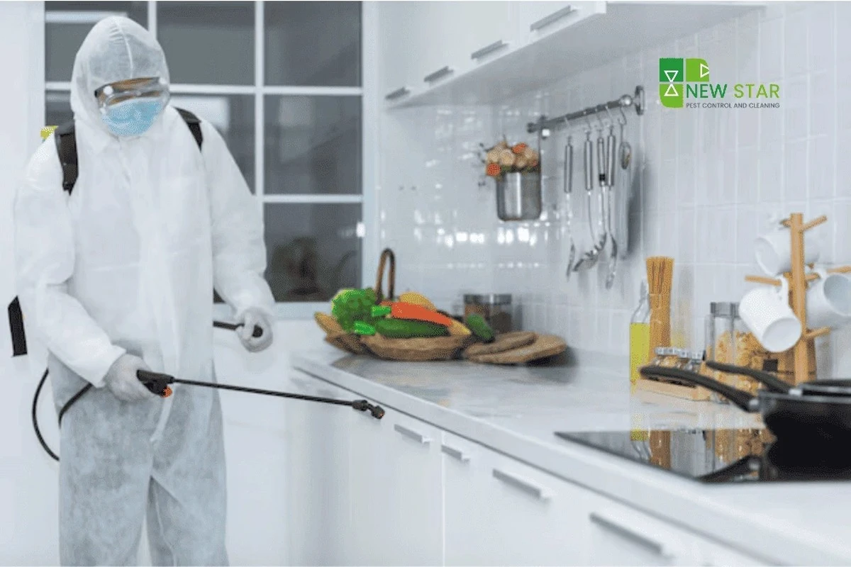 Mandle v horním regálu chladičky: trik proti hmyzu na měsíce - image 1