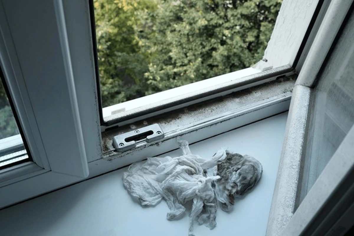 Jedlá soda na okenních drážkách? Výsledek překvapí - image 2