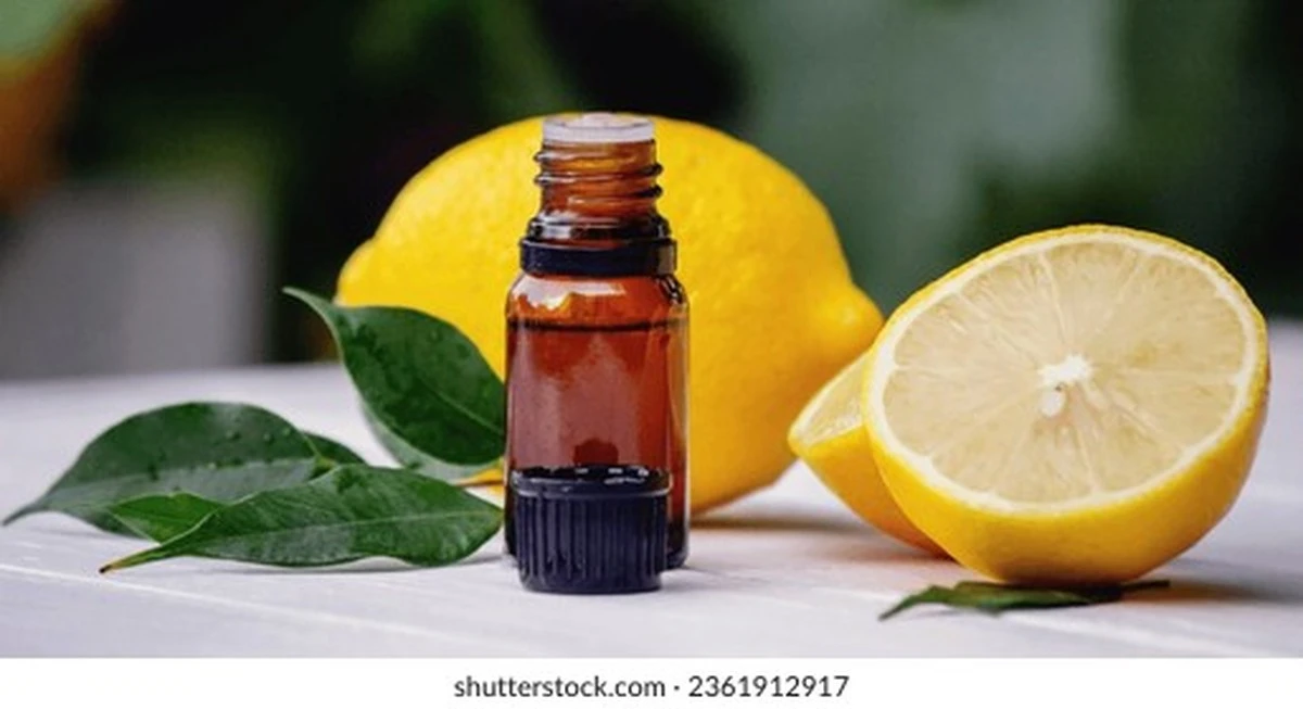 Citronový olej do zavařovací sklenice: proč rez nikdy nevrátíme