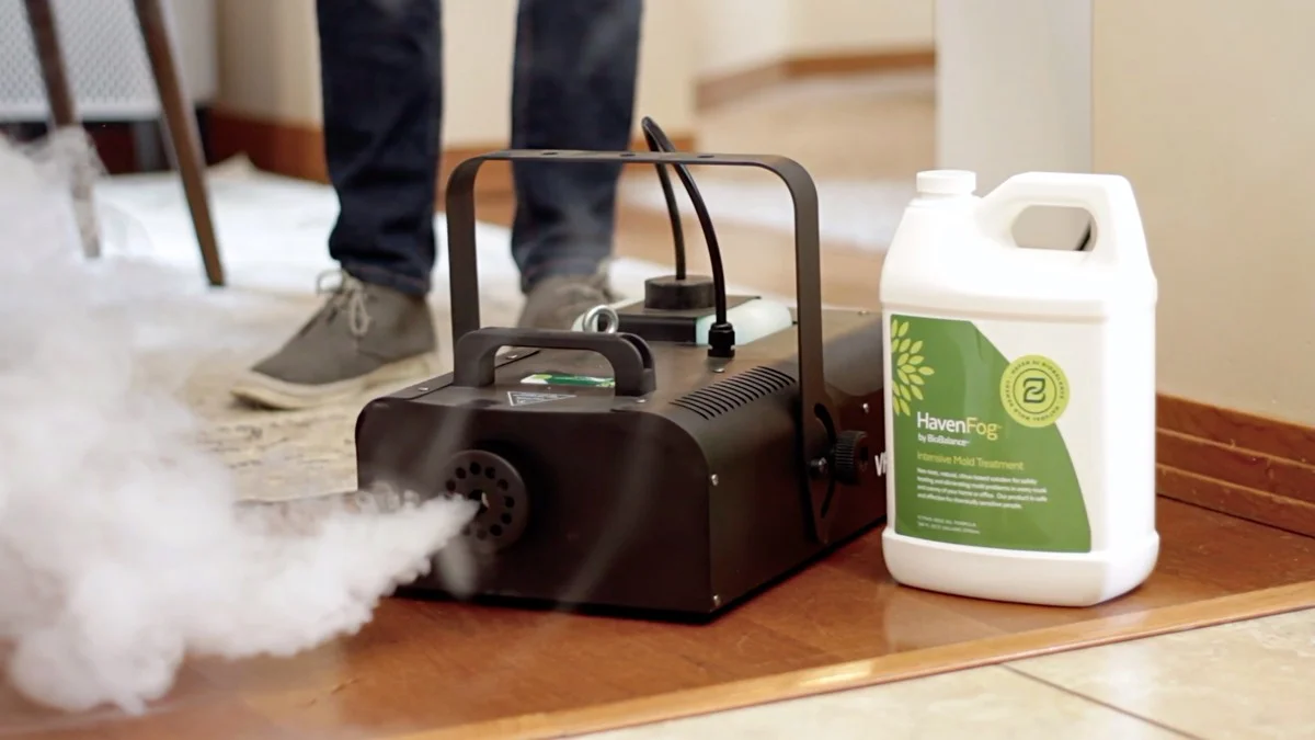 Sirka na stěně? Starý tradesmen trik na odstranění plísně bez čištění - image 2